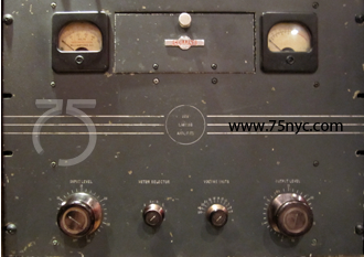 Enlarged view of image